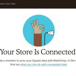 mailchimp and square